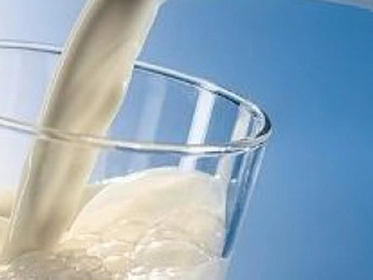 Протеин в млякото ще се бори със стреса