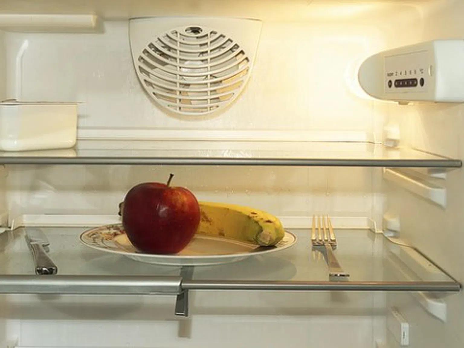 Опитна домакиня съветва как да подредите правилно храната в хладилника